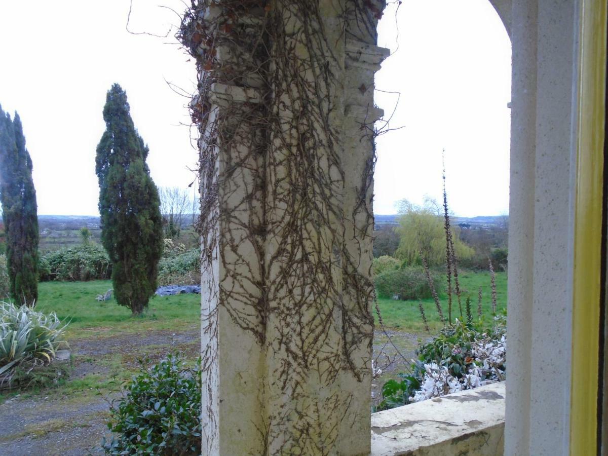 Ballynona House Midleton Kültér fotó